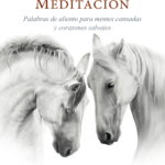 DICHA DE LA VERDADERA MEDITACIÓN, LA