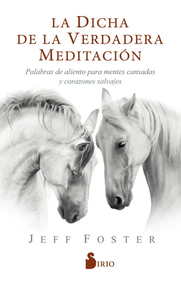 DICHA DE LA VERDADERA MEDITACIÓN, LA