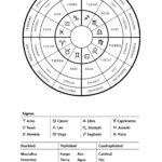 ASTROLOGIA PARA LA VIDA REAL. MANUAL DE TRABAJO