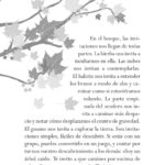BAÑOS DE BOSQUE