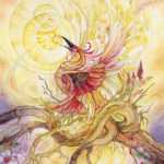 T. SHADOWSCAPES ESTUCHE