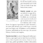 T. DE LOS GATOS, EL - Imagen 4