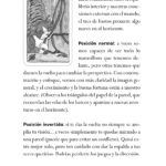 T. DE LOS GATOS, EL - Imagen 5