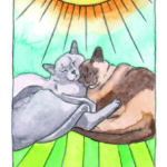 T. DE LOS GATOS, EL - Imagen 6