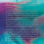 GUÍA PARA LIMPIAR EL HÍGADO, LA VESÍCULA Y LOS RIÑONES - Imagen 3