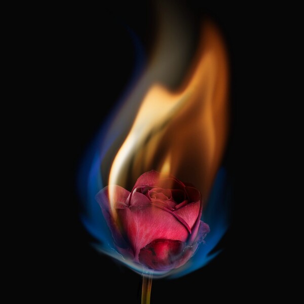 El fuego femenino de Lisa Marchiano