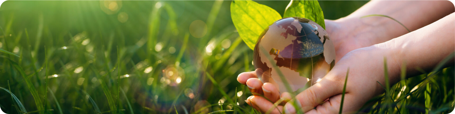 En el Día del Planeta reivindicamos la importancia de proteger el medio ambiente