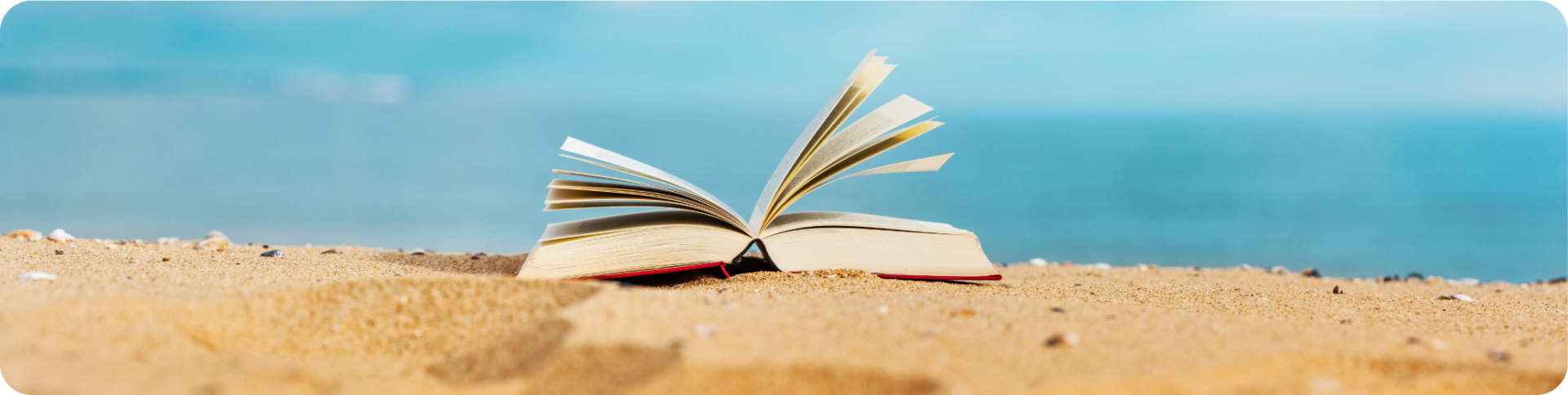 Libros para leer en agosto